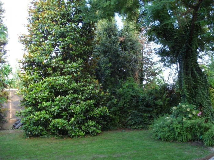 Archisio - Vivai Preti - Progetto Giardino a rami