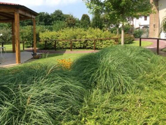 Archisio - Elisabetta Fermani - Progetto Giardino alzheimer