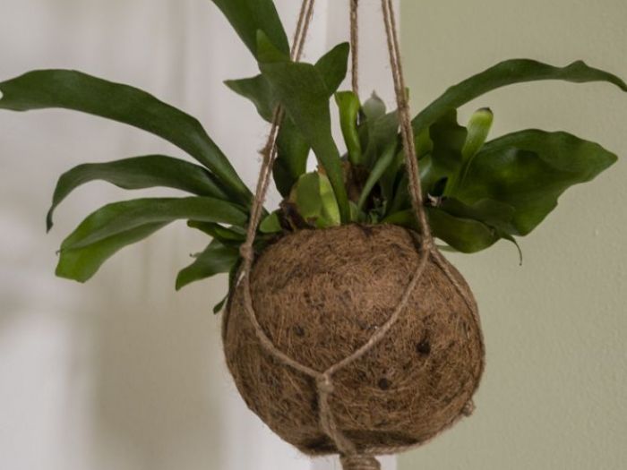 Archisio - Gilardi Interiors On Staging - Progetto Il living nuova gestione degli spazi e relooking