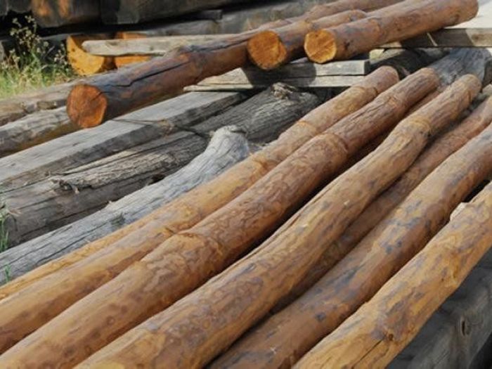 Archisio - Carta Legnami - Progetto Legname