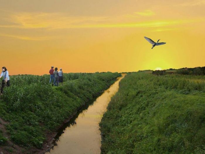 Archisio - Archibi Studio - Progetto Mobilit urbana