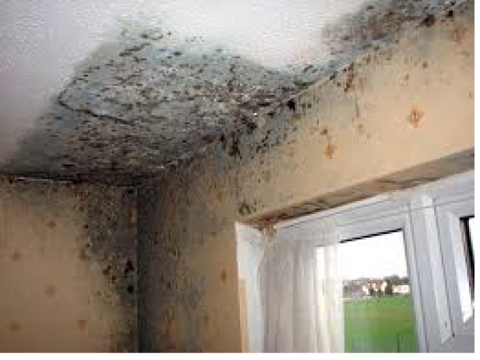 Archisio - Cam Colori - Progetto Mufficam