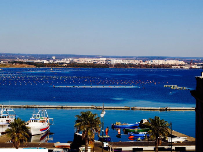 Archisio - Magda Giove - Progetto La nassa