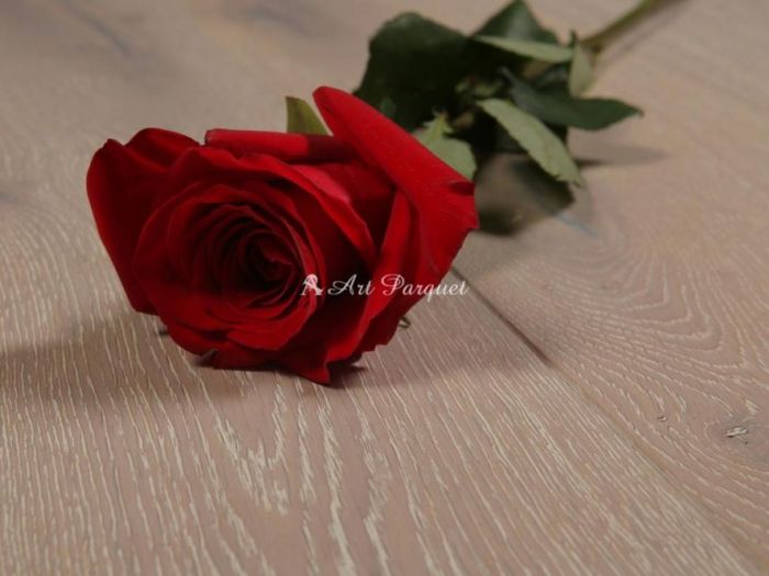 Archisio - Art Parquet - Progetto Posa parquet