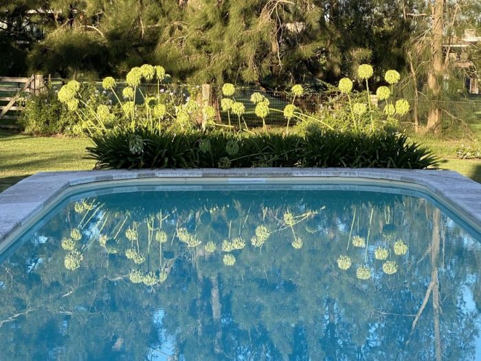 Archisio - Claudia Dibbe Piazza - Progetto The blue house