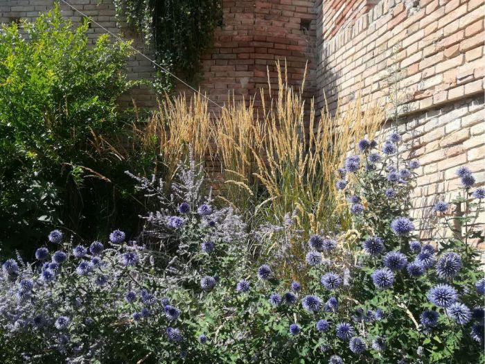 Archisio - Fabio Uguccioni - Progetto Al giardino segreto Un giardino sotto il castello di gradara pu