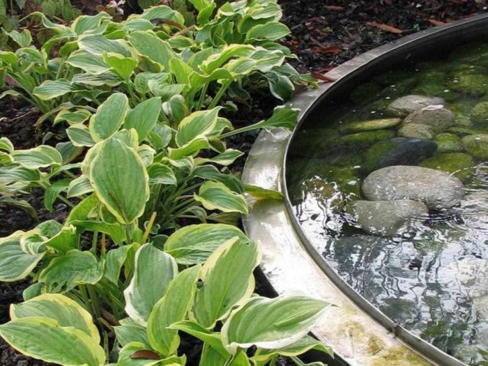 Archisio - Forme Dacqua - Progetto Garden peraga