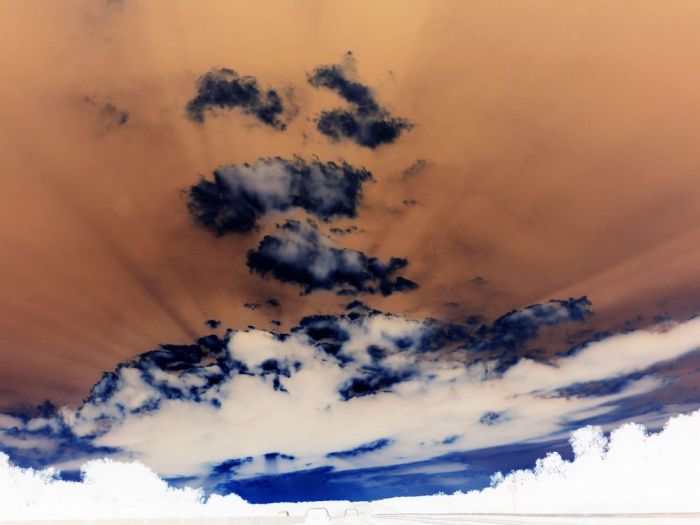 Archisio - Gianluca Vetrugno Meltem Kosan the Art Of The Negative - Artisti - Progetto Galleria 2 paesaggi