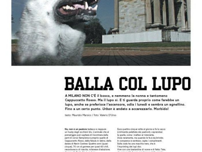 Archisio - Vdf Valerio Durso Fotografo - Progetto Editoriali