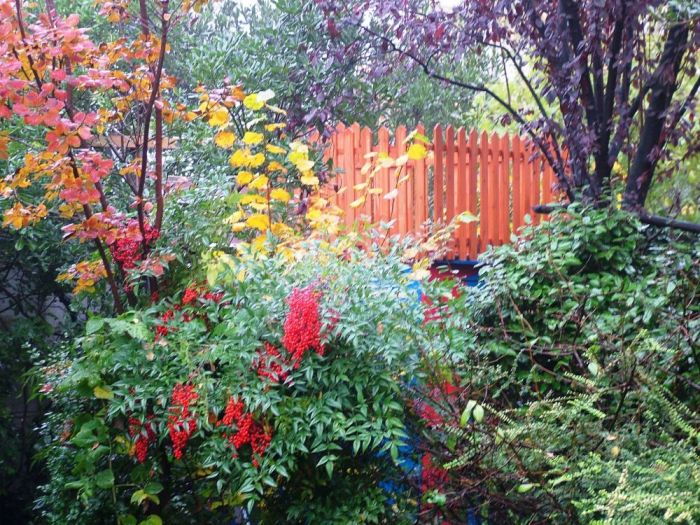 Archisio - Luca Righetto - Progetto Progettazione giardini varese busto arsizio Scompigliate seduzioni