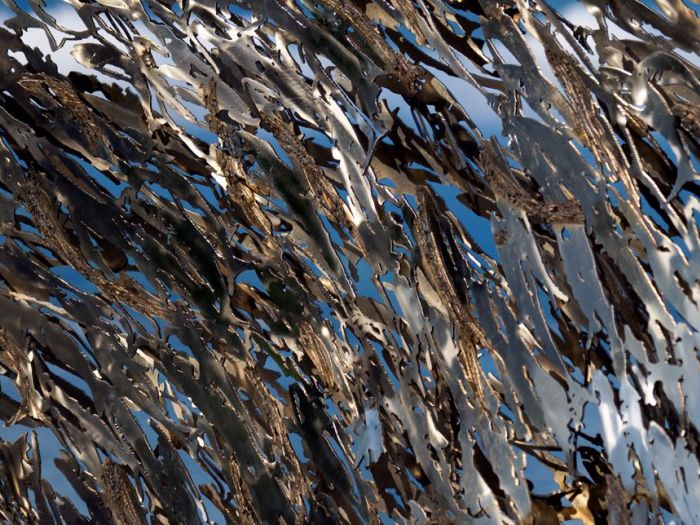 Archisio - Studio Cc - Progetto Above sea level