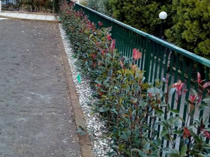 Archisio - I Giardini Dei Tudor - Progetto Manutenzione area verde privato