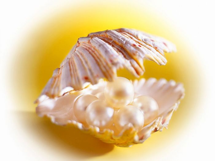 Archisio - Andrea Sabatello - Progetto Stills