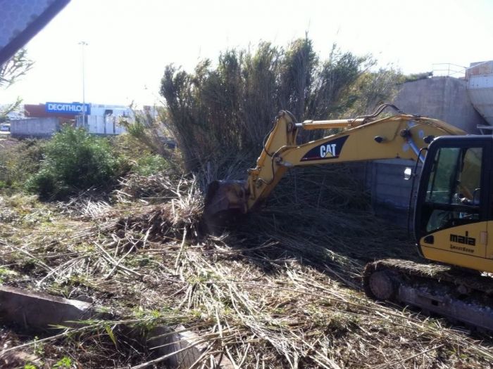 Archisio - Service Garden - Progetto Manutenzione verde