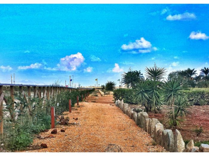 Archisio - N38 Laboratorio Di Architettura - Progetto Giardino edon