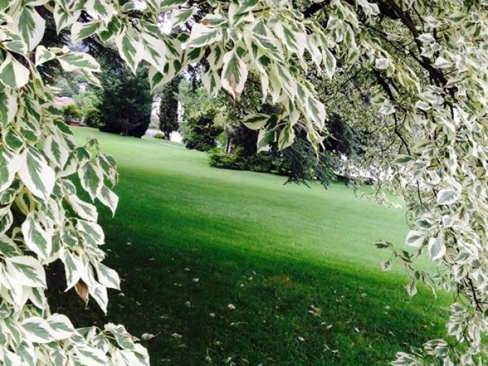 Archisio - Carlo Maria Maggia - Progetto Giardini