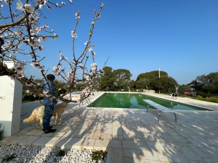 Archisio - Vito Nacci - Progetto Ristrutturazione casale depoca