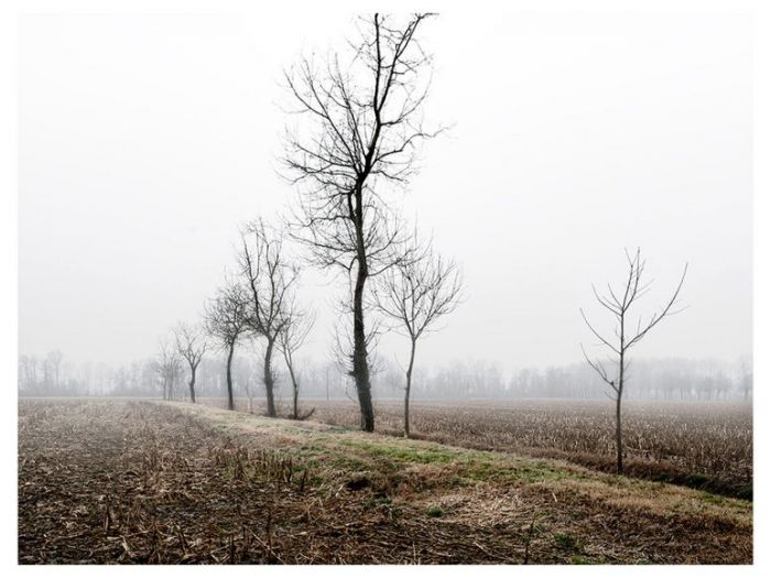 Archisio - Marco Tacchini Fotografo - Progetto Homeland