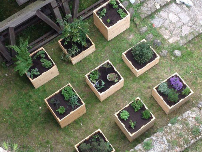 Archisio - Davide Stona - Progetto Installazione temporanea per hortus sanitatis