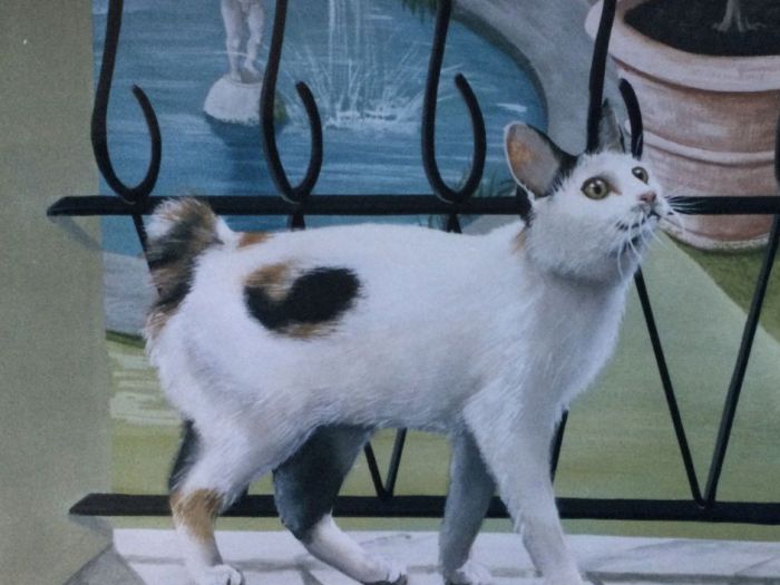 Archisio - Elisabetta Maestripieri - Progetto Trompe loeil