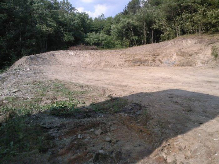 Archisio - Emme Advice - Progetto Medanavisca s R L