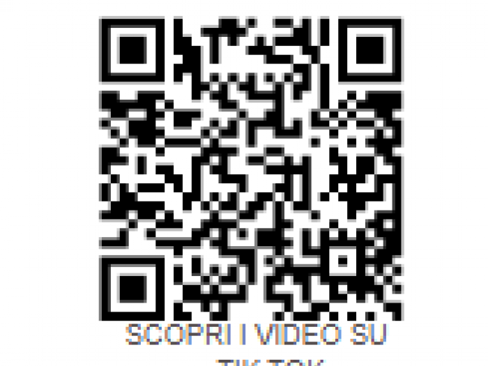 Archisio - Fabbro Mg - Progetto Profilo tik tok