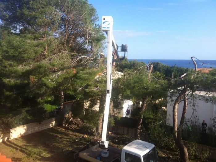 Archisio - Service Garden - Progetto Manutenzione verde