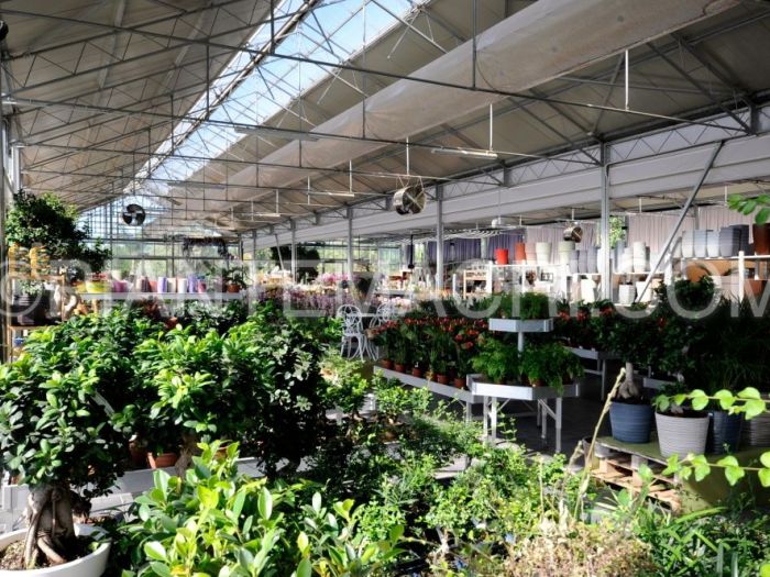 Archisio - Piante Macri - Progetto Il garden