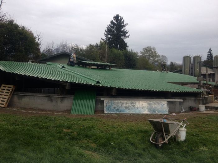 Archisio - Edilcasa Snc - Progetto Complesso agricolo la pellegrina gruppo veronesi bes belluno