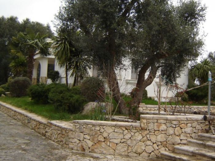 Archisio - Cosimo Mai - Progetto Progetti