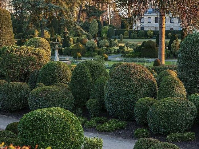 Archisio - Claudia Dibbe Piazza - Progetto Allinsegna di piet oudolf