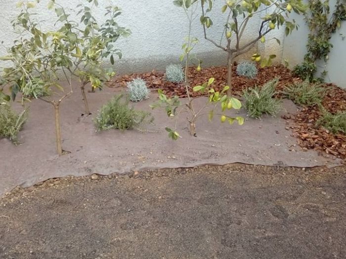 Archisio - I Giardini Dei Tudor - Progetto Manutenzione area verde privato