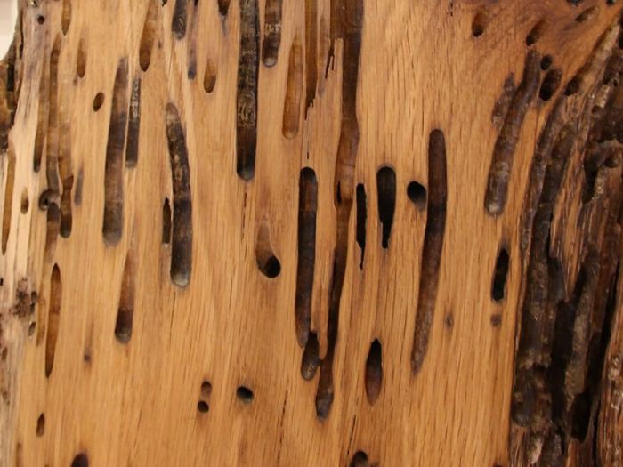 Archisio - Laura Cera Kera Ecodesign - Progetto Ethereal