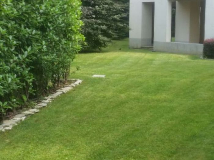 Archisio - I Giardini Dei Tudor - Progetto Realizzazione di giardino