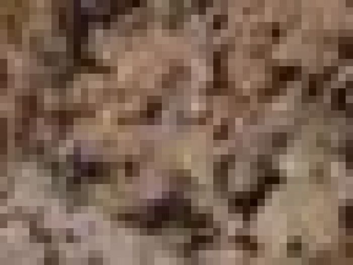 Archisio - Payanini The Stone Brand - Progetto Payanini