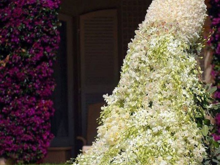 Archisio - Vivai Cantatore - Progetto Piante