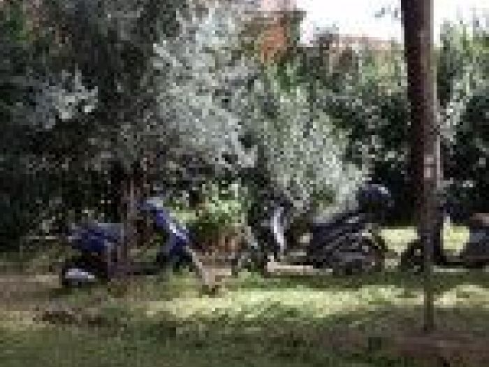 Archisio - Mageris srl - Progetto Pulizie giardini via casilina