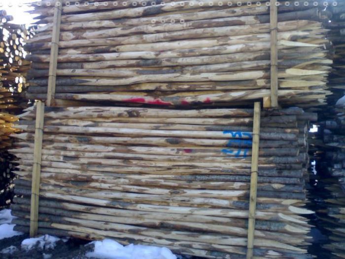 Archisio - Edilizia Ctm srl - Progetto Paleria