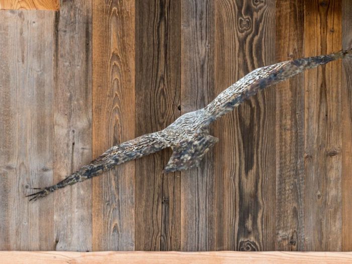 Archisio - Studio Cc - Progetto La grande betulla