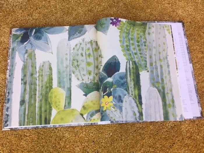 Archisio - Cerrone Tende E Tendaggi - Progetto Carta da parati