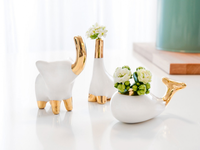 Archisio - Bgp Studio - Progetto Bgp-studio