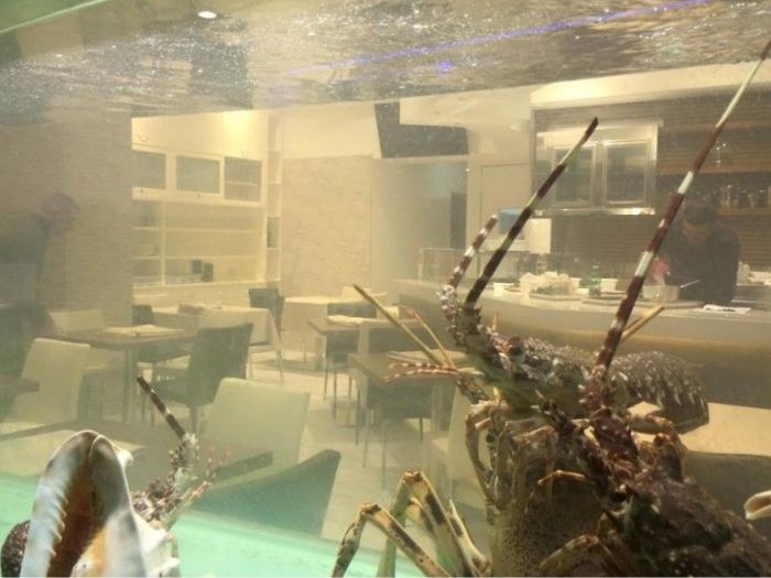 Archisio - Verafrigor - Progetto Mares pesca