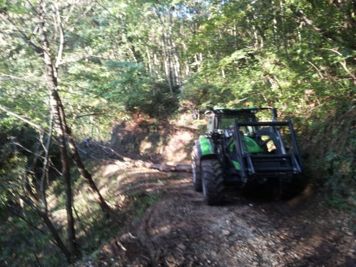 Archisio - Il Dottore Del Verde Di Bruno Barnaba - Progetto Utilizzazioni boschive