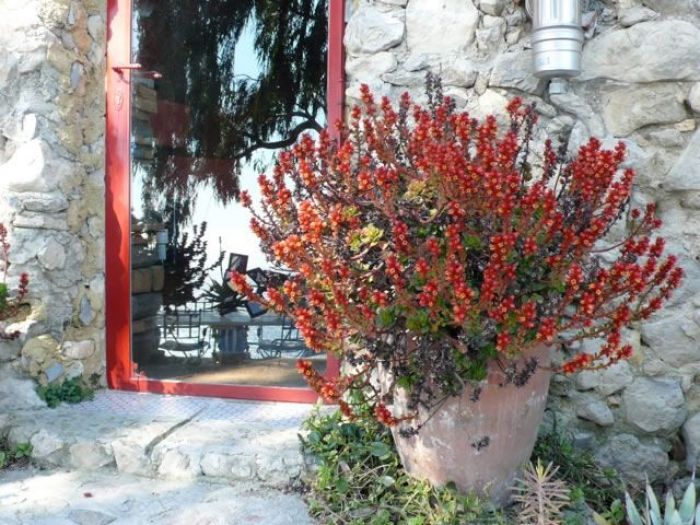 Archisio - Carlo Maria Maggia - Progetto Giardini