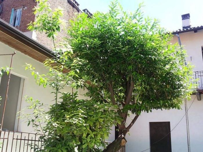 Archisio - Studio Agile - Progetto Casa soana