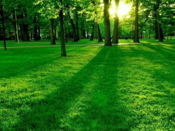 Archisio - Dotto Francesco Consulting Green - Progetto Parchiilluminazione parchi