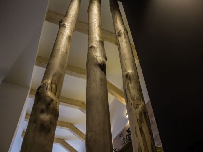 Archisio - Design Project - Progetto Puro