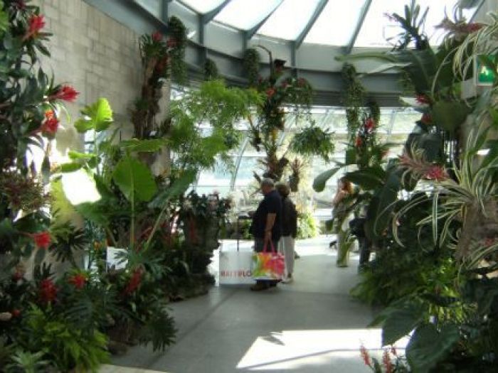 Archisio - Rattiflora - Progetto Fiere e mostre