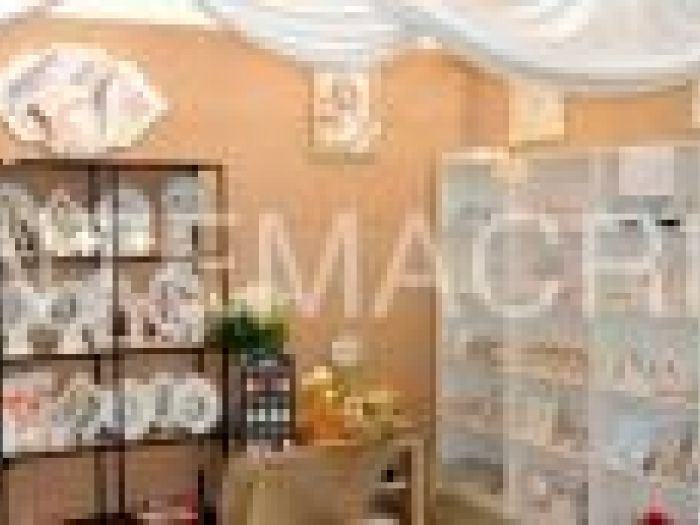 Archisio - Piante Macri - Progetto Il garden