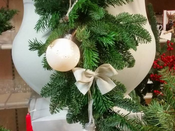 Archisio - Massarroni - Vivai Piante - Garden - Progetto Vivai e piante